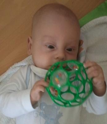 Bild zu