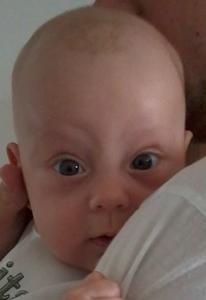 Bild zu 