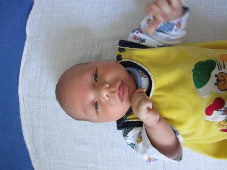 Bild zu 