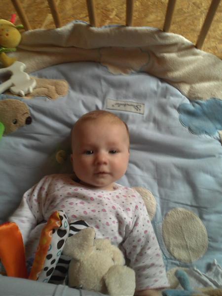 Bild zu 