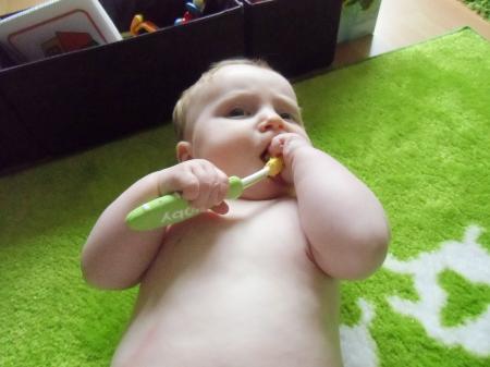 Bild zu 