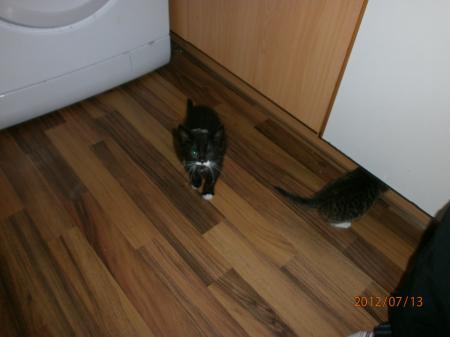 Bild zu