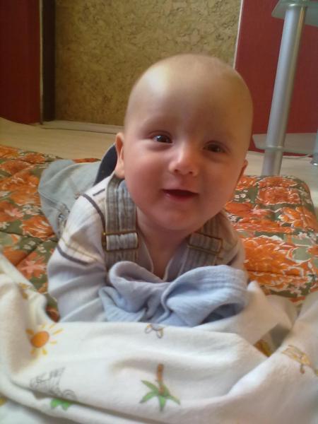 Bild zu