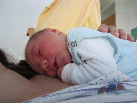 Bild zu 