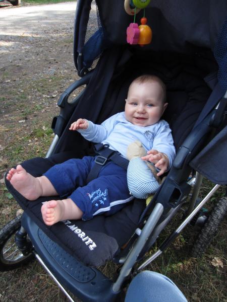 Bild zu 