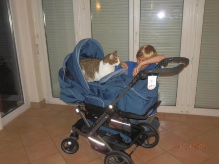 Bild zu 