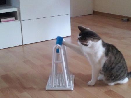 Bild zu 