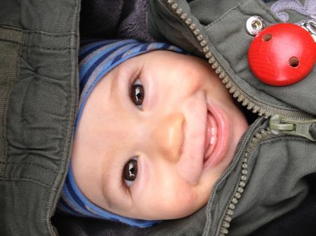 Bild zu