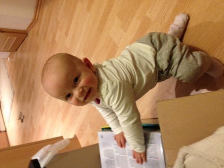 Bild zu 