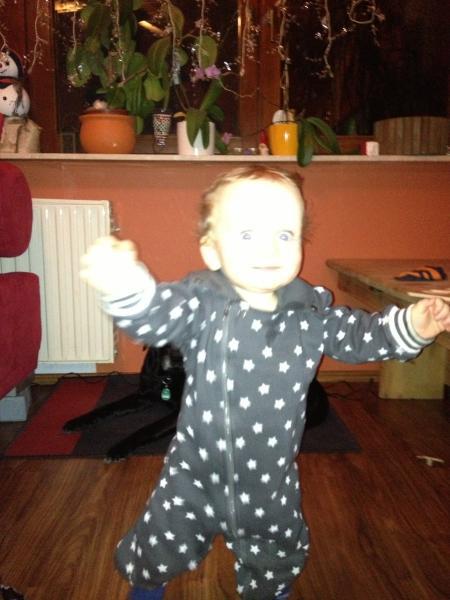Bild zu 