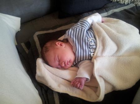 Bild zu 