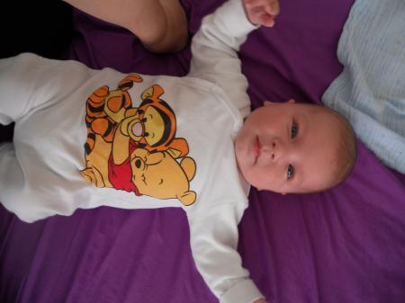 Bild zu 