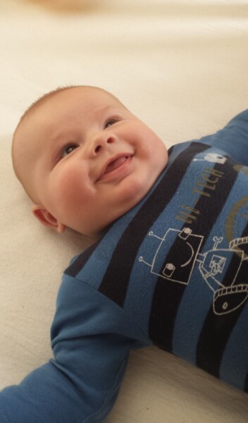 Bild zu