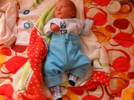 Bild zu