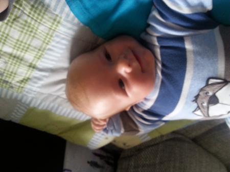 Bild zu 