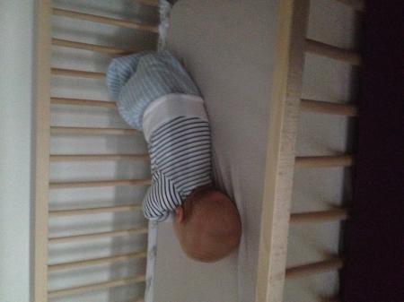 Bild zu 