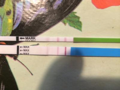 Bild zu Test von ES+13 - Forum für März - Mamis