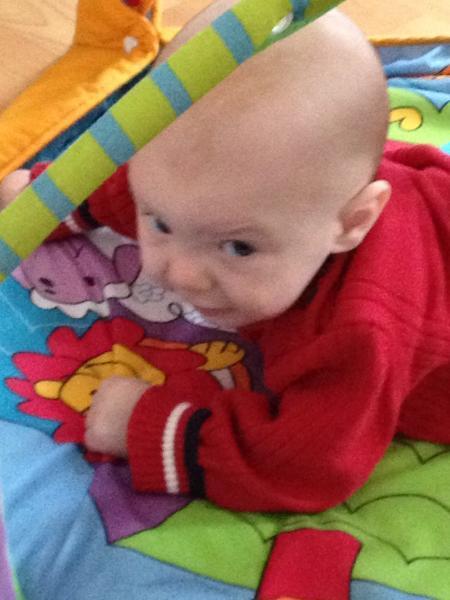 Bild zu 