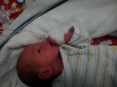 Bild zu mein Muckelmann - Forum für März - Mamis