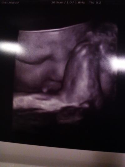 Bild zu wieder zu Hause - Forum für März - Mamis