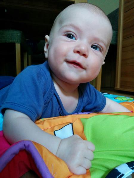 Bild zu 