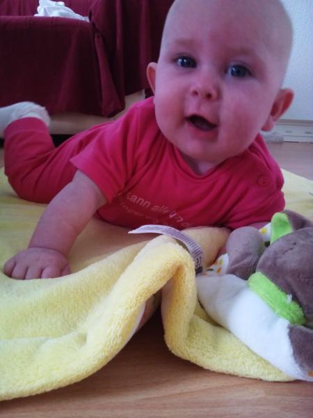 Bild zu