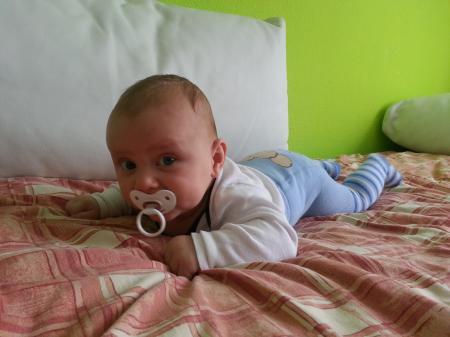 Bild zu