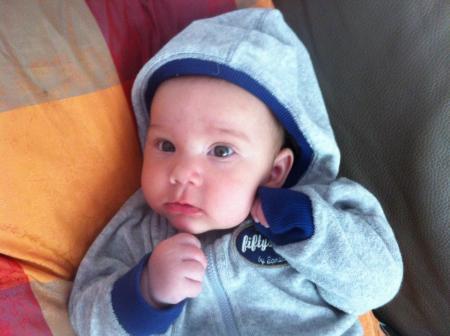 Bild zu