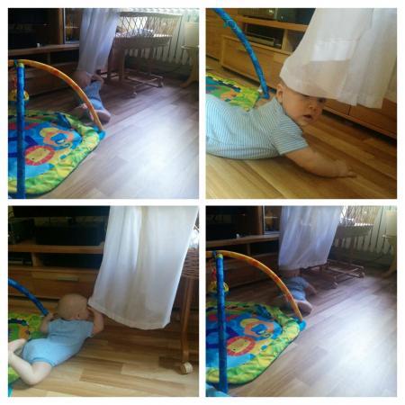 Bild zu 