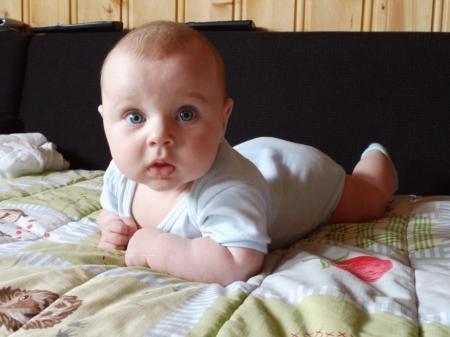 Bild zu 