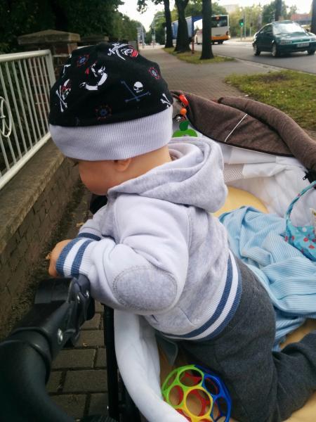 Bild zu