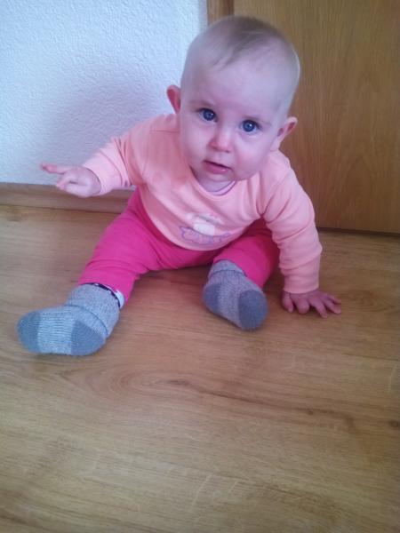 Bild zu
