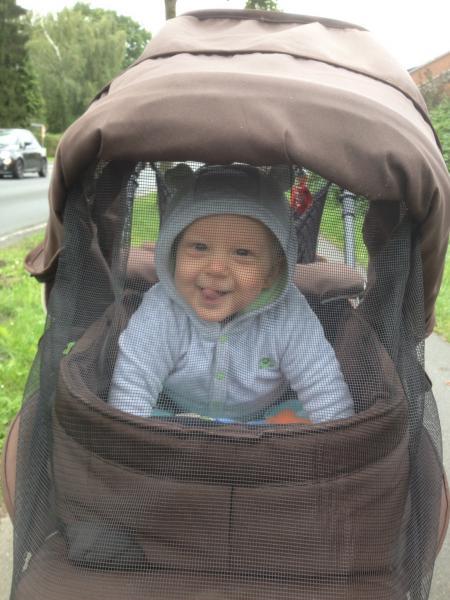 Bild zu 