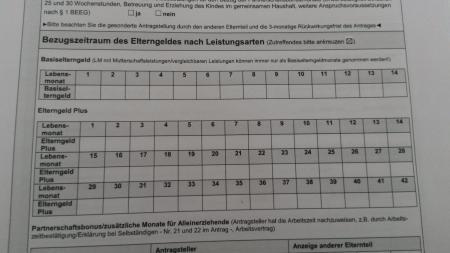 Bild zu 