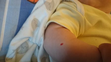 Bild zu Was ist das? - Forum für März - Mamis