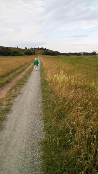 Bild zu 