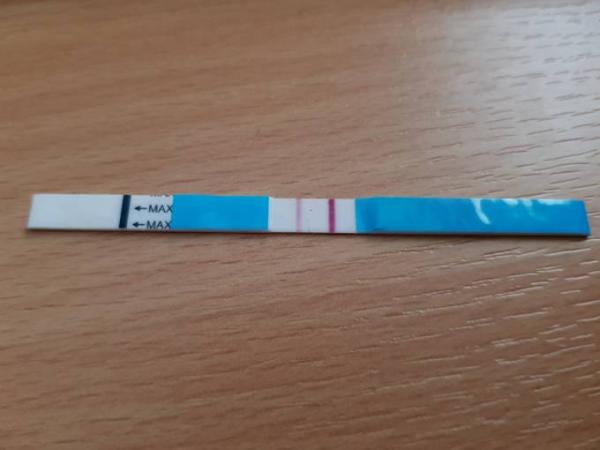 Bild zu Moin aus dem Norden - Forum für März - Mamis