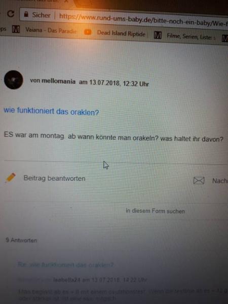 Bild zu 