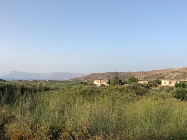 Bild zu Sonnige Grüße an Euch - Forum für März - Mamis