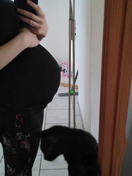 Bild zu 