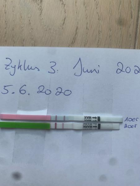 Bild zu Eisprung nach clomifen und utrogest Zyklus früher? - Forum für März - Mamis