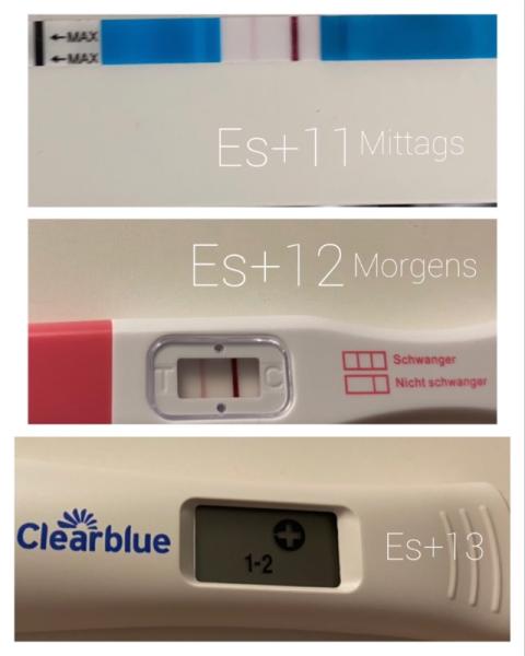 Bild zu Positiv und jetzt warten warten warten .... - Forum für März - Mamis