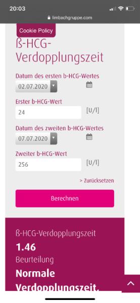 Bild zu