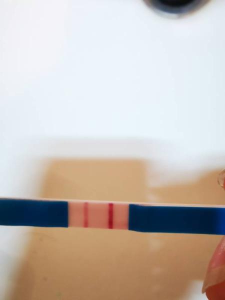 Bild zu Ich glaube, ich muss mich verabschieden - Forum für März - Mamis