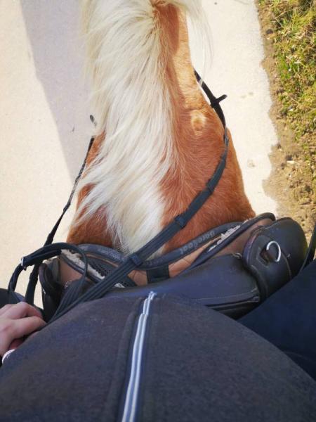 Bild zu 