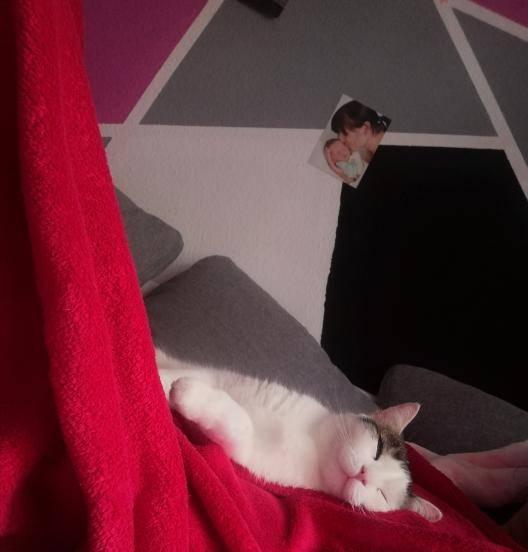 Bild zu