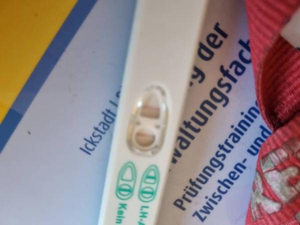 Bild zu Wann ovu ablesen.ovu immer positiv? - Forum für März - Mamis