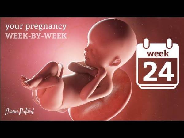 Bild zu Wieviel habt ihr bisher zugenommen? - Forum für März - Mamis