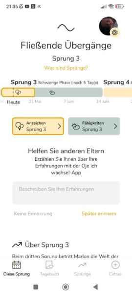 Bild zu