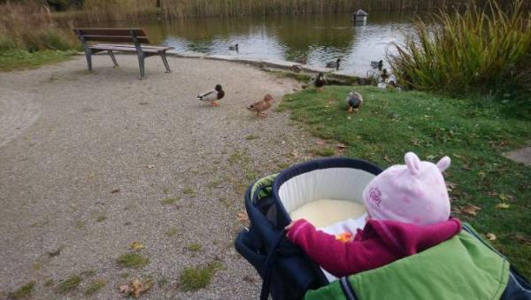 Bild zu